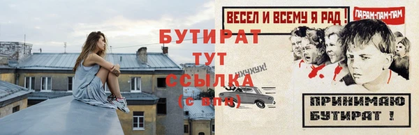 хмурый Няндома