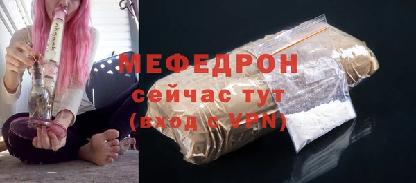 хмурый Няндома