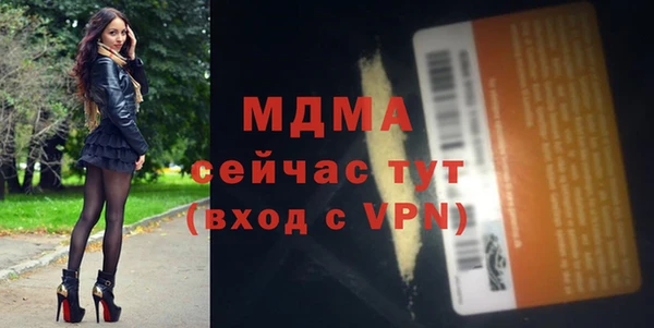 хмурый Няндома
