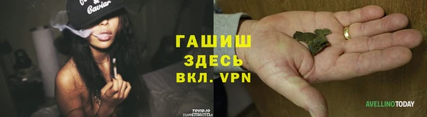 хмурый Няндома