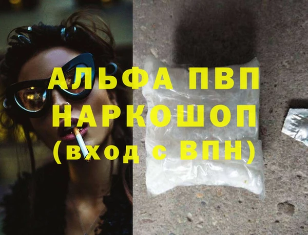 хмурый Няндома