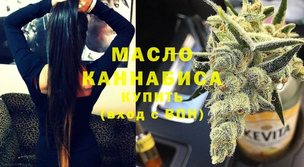 хмурый Няндома