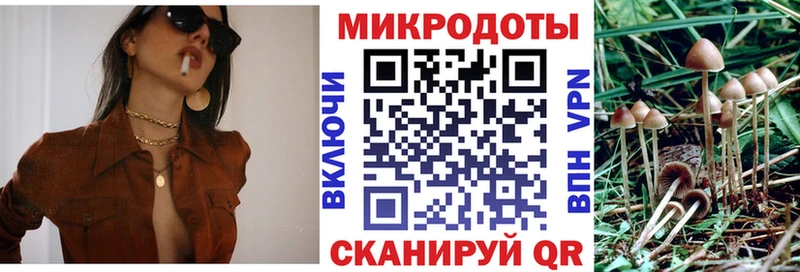 Купить Злынка Псилоцибиновые грибы ЛСД